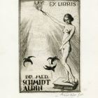 Ex libris - dr. med. Schmidt Albin