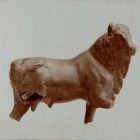 Fénykép - Ápisz torzó, bronz, Iparművészeti Múzeum