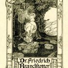 Ex libris - Dr. Friedrich Brandstetter