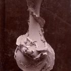 Fénykép - váza, domborított kaméleonnal, polippal és növényi részletekkel díszített, festetlen porcelán, Rörstrands Porslinsfabriker