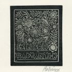 Ex libris - Radványi K( ároly) -ipse