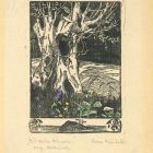 Ex libris - Die alte Weide orig. Holzschn.