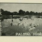 Ex libris - Palotás Mihály