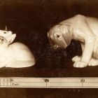 Fénykép - porcelán figurák, két összebújó sivatagi róka és egy lógó fülű kutya