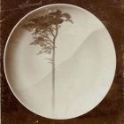 Fénykép - tányér festett díszítéssel, magányos fa