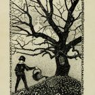 Ex libris - Pettkó-Szandtner Aladár