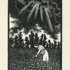 Ex libris - Valéria könyve