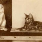 Fénykép - Erik Nielsen: Porcelánfigurák,játszó macska és fekvő macska az 1902-es torinói iparművészeti kiállításon