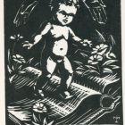 Ex libris - R. Judit könyve (Reisinger)