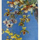 Mintalap - Orchideák, Dekorative Vorbilder, XIX.