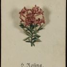 Szentkép - ún. Blumenklappbild, orgonavirággal (spanyol bodzával) és Szent Rozina ábrázolásával