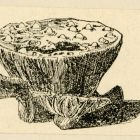 Illusztráció - lótusz gyümölcsöt példázó mázatlan cserépedény; Radisics Jenő Képes kalauzából