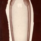 Fénykép - váza festett díszítéssel, egyenes szárú tulipán-szálakkal